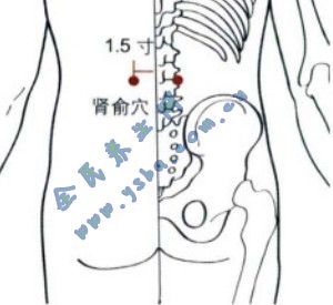 按摩“肾俞穴”益肾固精、利腰髓