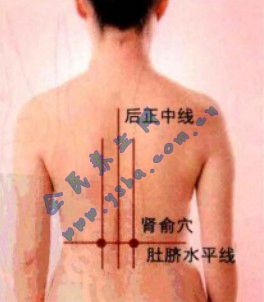 “肾俞穴”