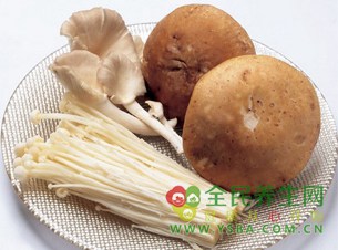 养生网解析不同种类的菌菇烹饪有道