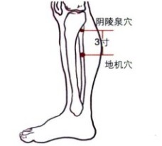 地机穴精确定位